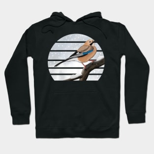 Jay Winter Snow Bird Watching Birding Ornithologist Gift Hoodie